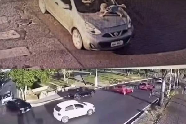 Mecánico revisando el motor de un automóvil
