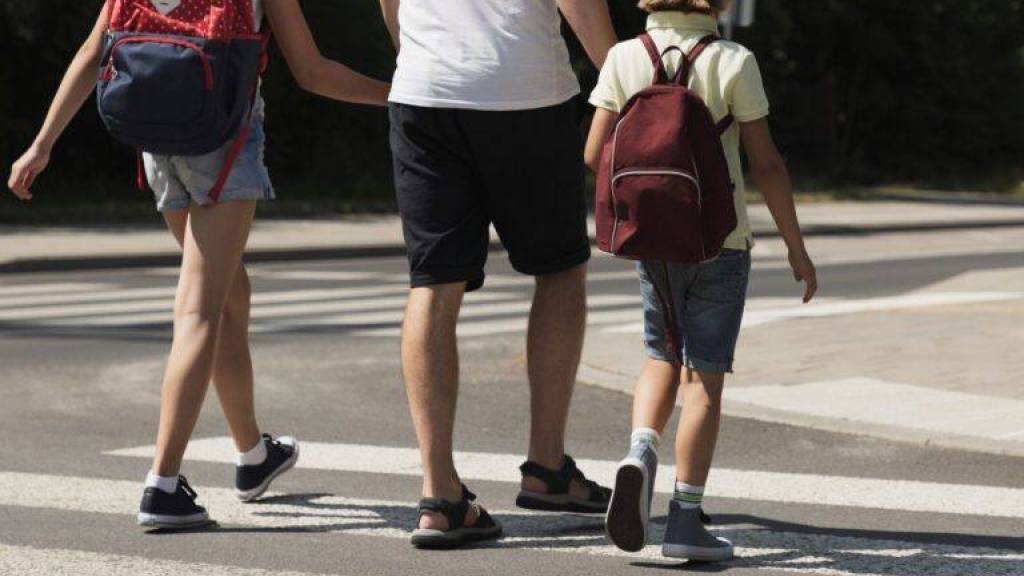 Día Mundial de Educación Vial, Prensa